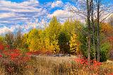 Autumn Landscape_17721